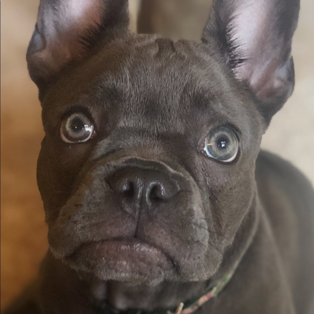 Meet your Posher, Tracy